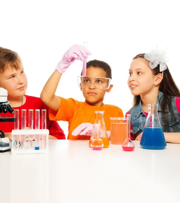 STEAM Science Regular Curriculum Science Junior Doctorate (Target: 8-12 years old)